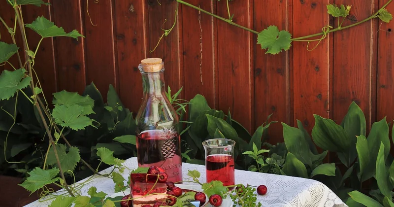 Restaurant à Lohéac ouvert le dimanche : ce qu'il faut savoir