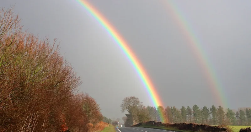 Que faire autour de Lohéac quand la pluie s'installe ?