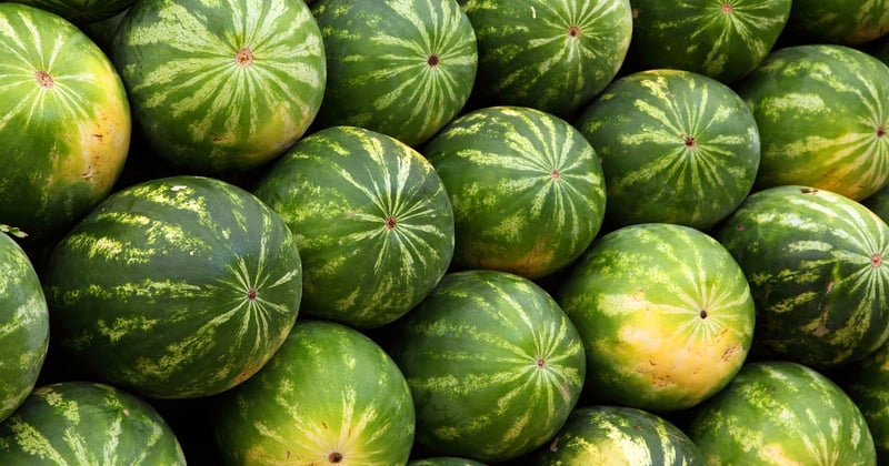 Où savourer les spécialités culinaires bretonnes à Lohéac ?