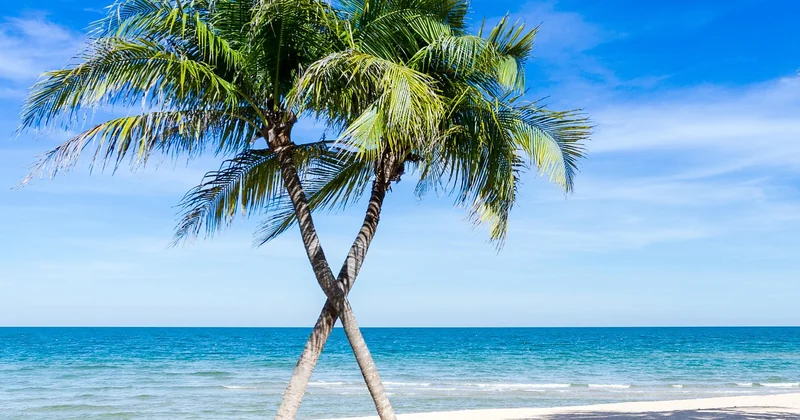 Les îles qui méritent vraiment le détour