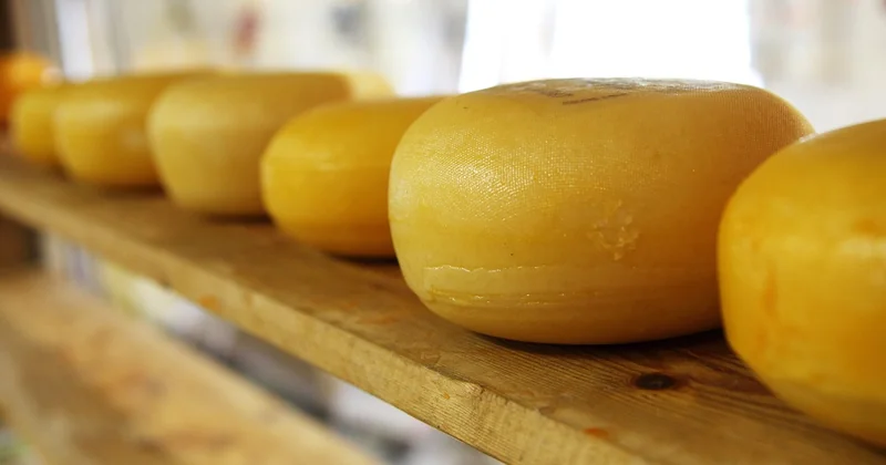 Produits du terroir Bretagne : ce qu'on ramène vraiment dans son coffre