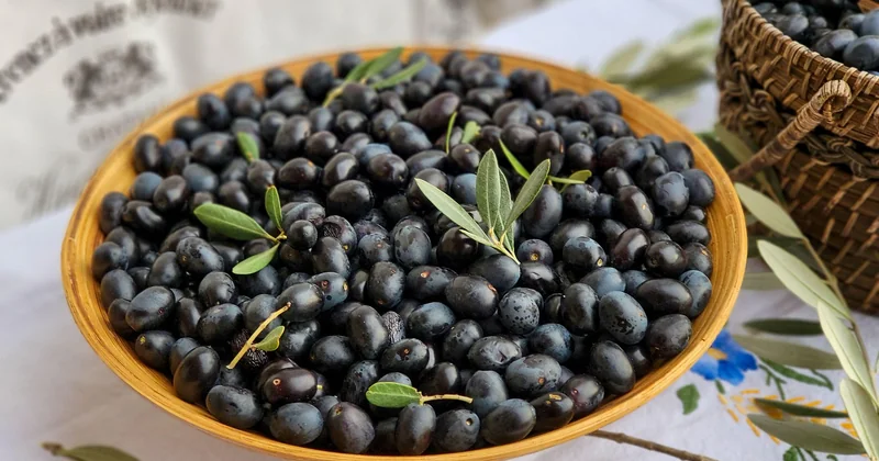 Les cuisines qu'on oublie de chercher